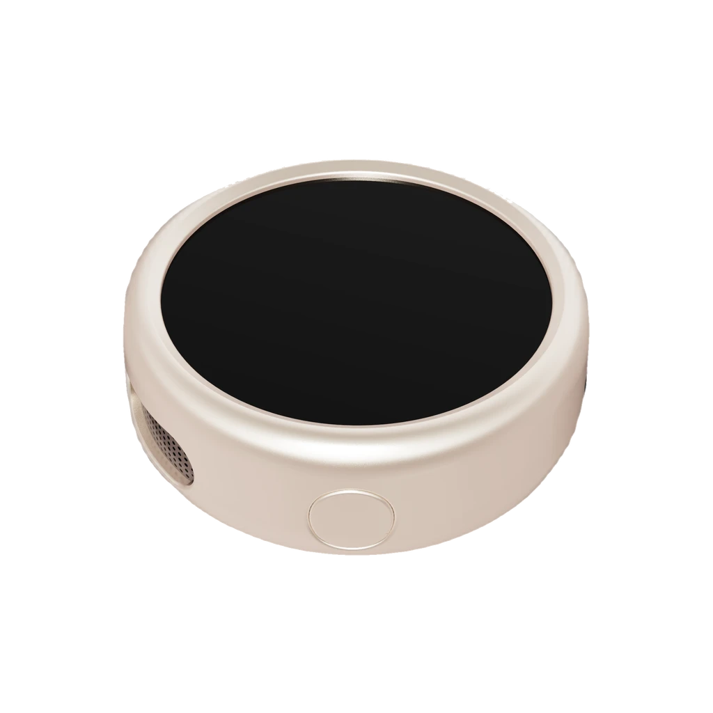 Latest Nexting PIN — champagne