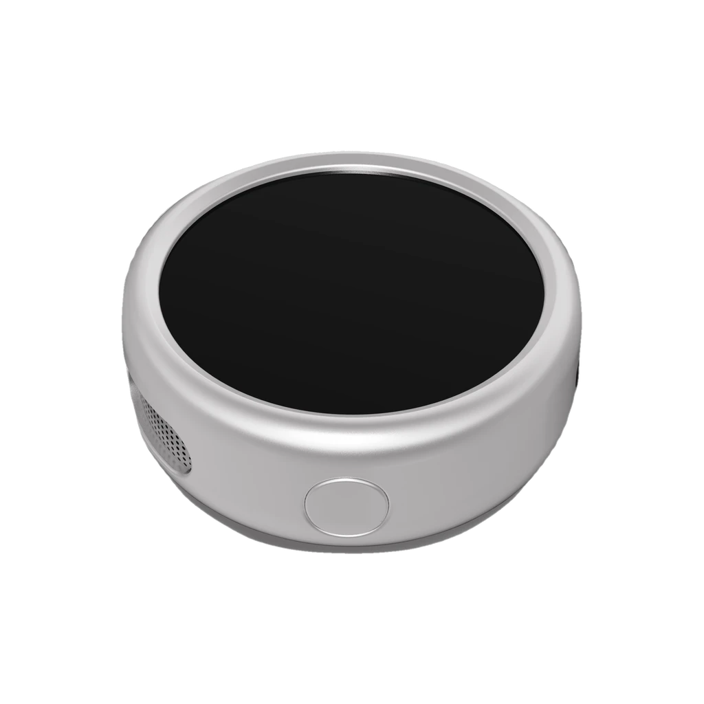 Latest Nexting PIN — silver